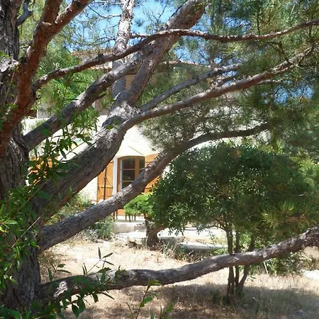 Bed & Breakfast Chez Nous